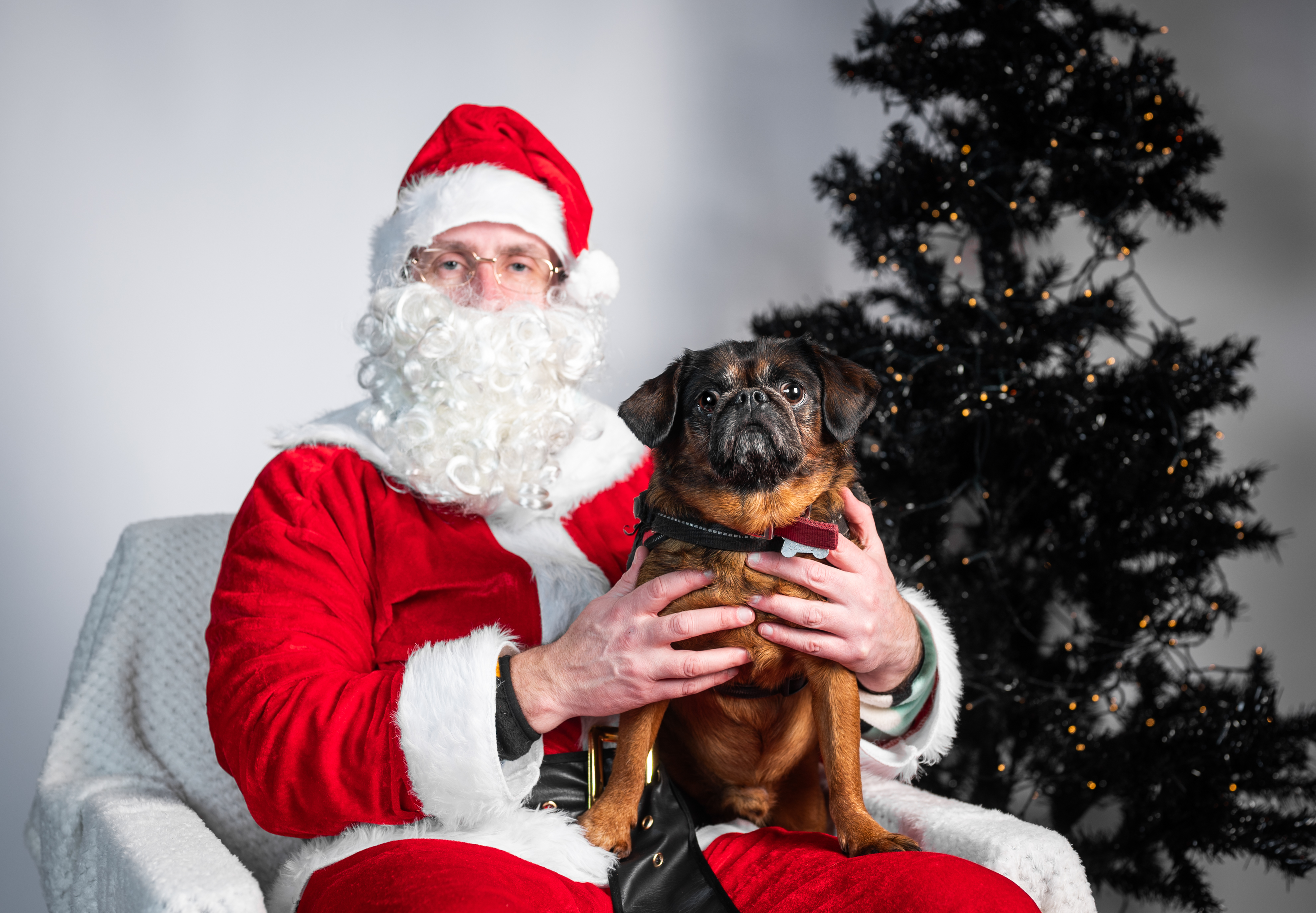 Image for Santa Paws
