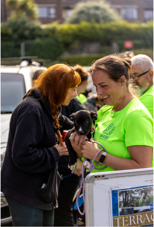 Image for Padel, Pups, Pints